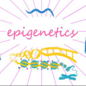 Despre Epigenetică. Stresul oxidativ, unul dintre punctele cheie ale medicinei anti-îmbătrânire. Cure antioxidante